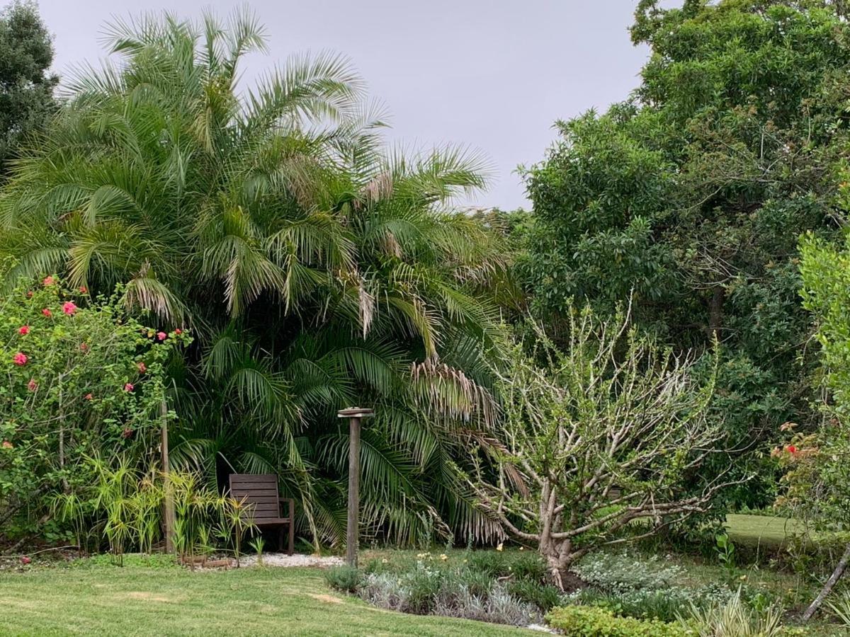 Garden Cottage In Ambiente Guest House 克尼斯纳 外观 照片